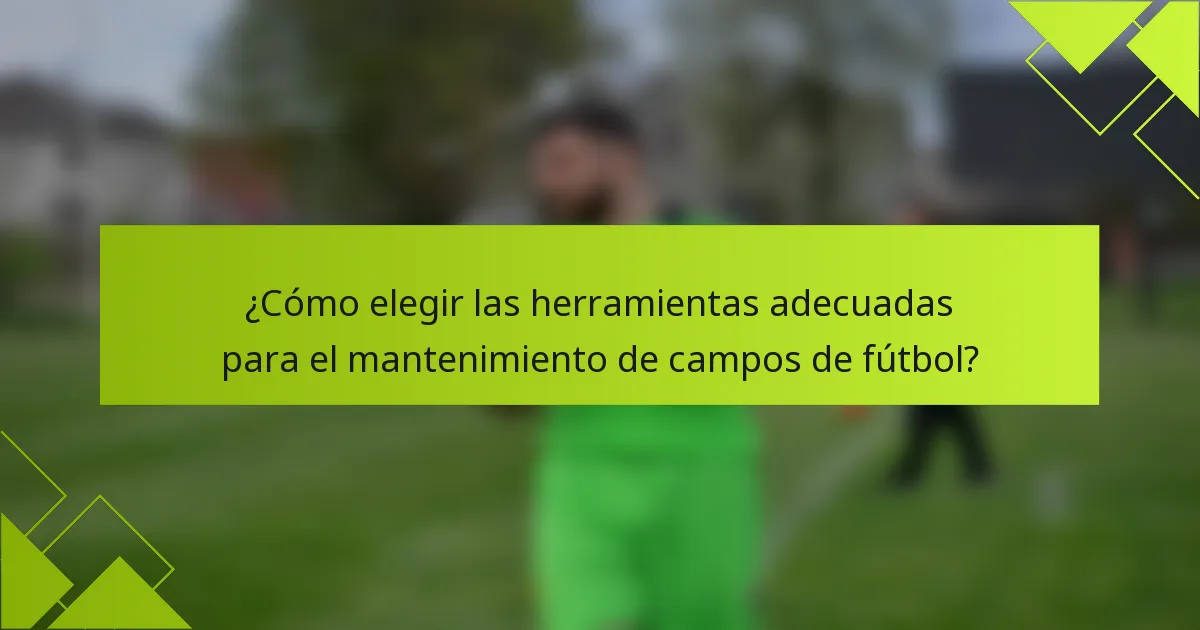 ¿Cómo elegir las herramientas adecuadas para el mantenimiento de campos de fútbol?
